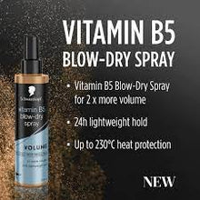 Load image into Gallery viewer, Schwarzkopf Styling Vitamin B5 Blow-Dry Spray 200ml