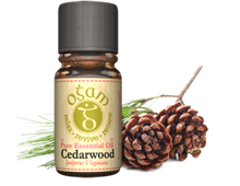 Load image into Gallery viewer, Ogam Essential Oils