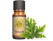 Load image into Gallery viewer, Ogam Essential Oils