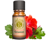 Load image into Gallery viewer, Ogam Essential Oils