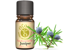 Load image into Gallery viewer, Ogam Essential Oils