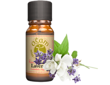 Load image into Gallery viewer, Ogam Essential Oils