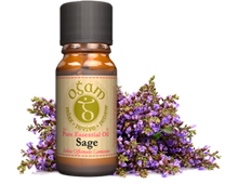 Load image into Gallery viewer, Ogam Essential Oils