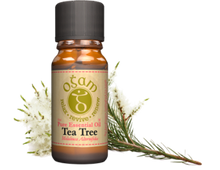 Load image into Gallery viewer, Ogam Essential Oils