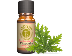 Ogam Essential Oils