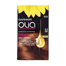 Garnier Olia Hair Colour